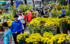 PHONG TỤC CHƠI HOA NGÀY TẾT