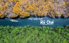 RỪNG NGẬP MẶN RÚ CHÁ – HUẾ 