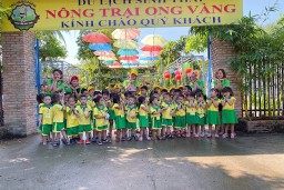 NÔNG TRẠI ONG VÀNG