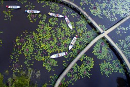 LONG AN - TIỀN GIANG 