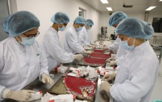 Việt Nam sản xuất lô vaccine đầu tiên